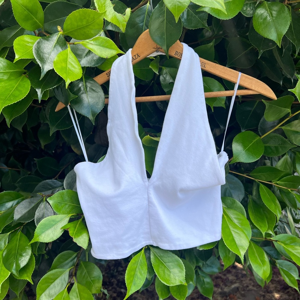 Zara Halter Crop Top